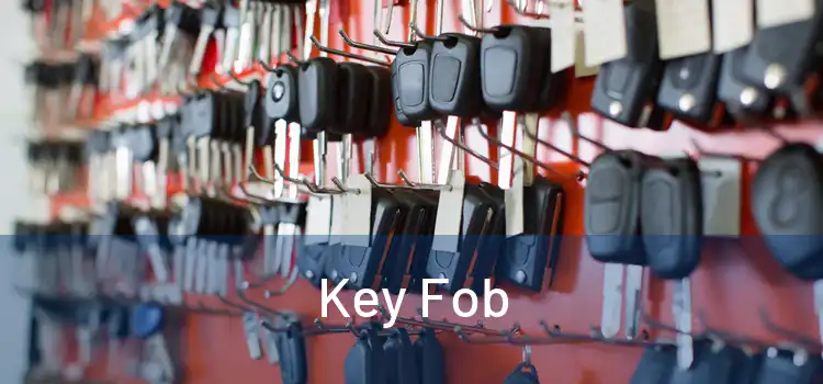  Key Fob 